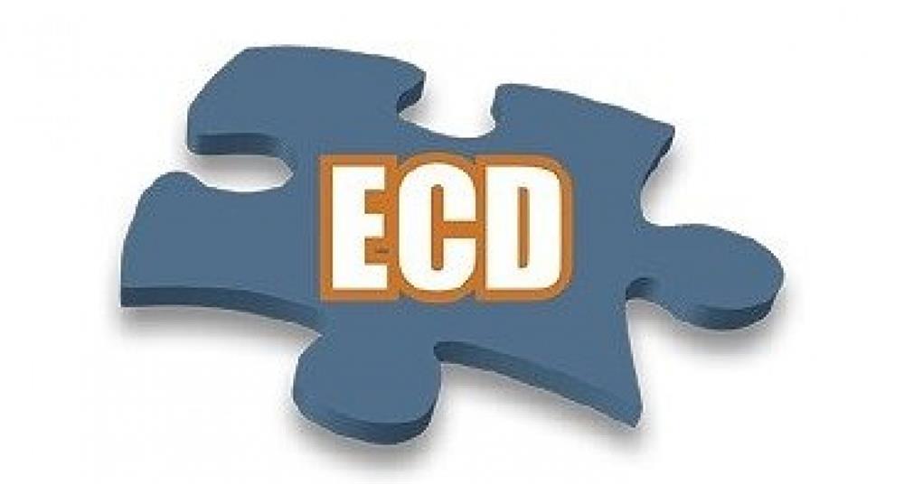 Qual o Prazo de Apresentação da ECD?